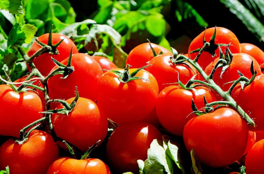 leven met diabetes voeding tomaat